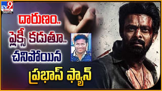 Salaar Vs Dunki: దటీజ్ ప్రభాస్‌..! సలార్ vs డంకీ విషయంలో దిగొచ్చిన PVR థియేటర్స్.