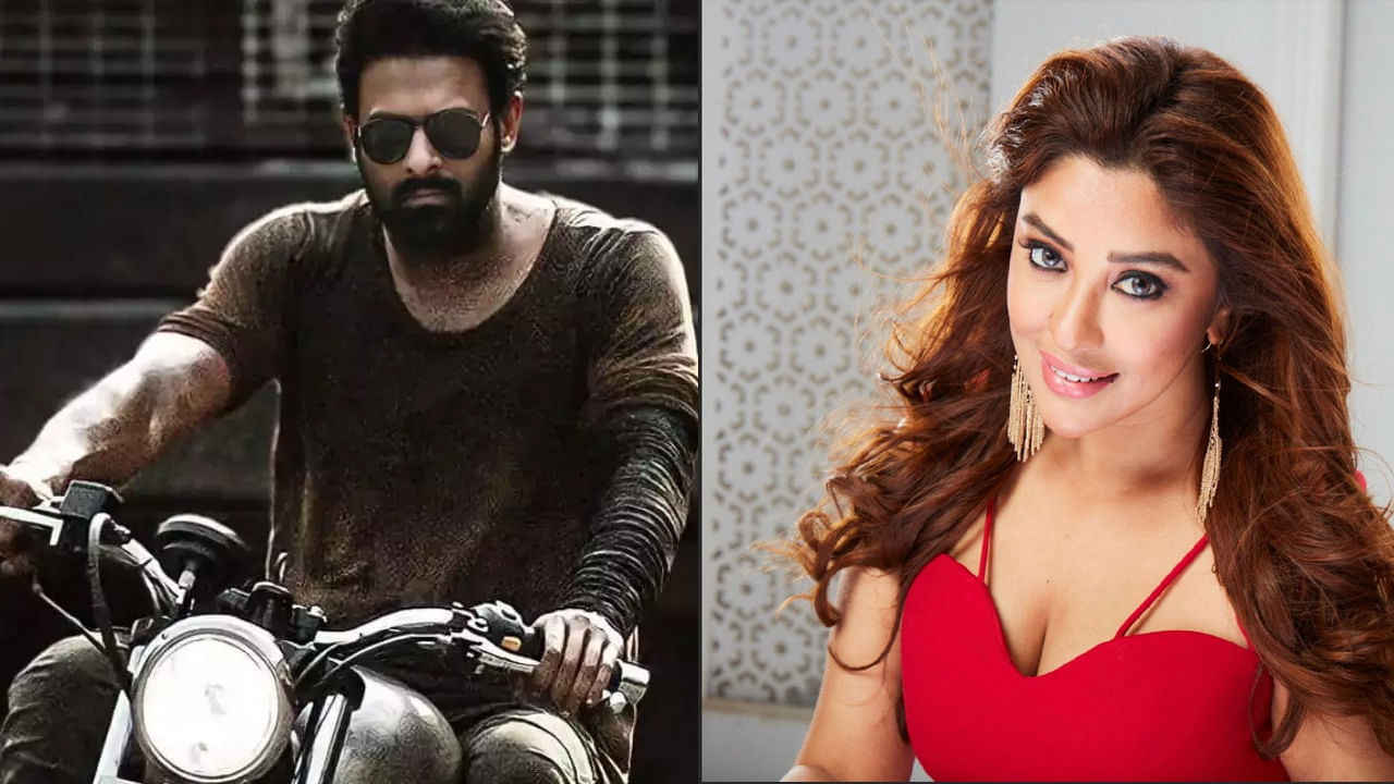 Payal Ghosh: 'సలార్ చెత్త సినిమా, ఫ్లాప్.. కానీ'.. ప్రభాస్ మూవీపై నటి షాకింగ్ కామెంట్స్.. ఫ్యాన్స్ ఫైర్