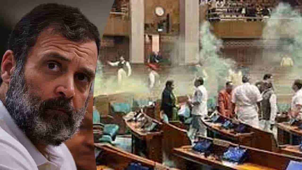 Parliament: పార్లమెంట్ దాడికి వెనుక అసలు కారణమిదే.. రాహుల్ గాంధీ సంచలన వ్యాఖ్యలు