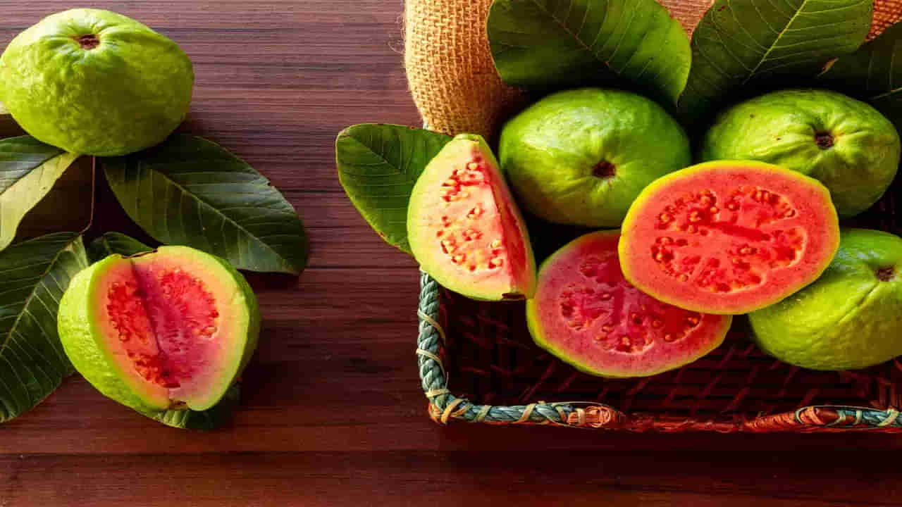 Red Guava Benefits: ఎర్ర జామ పండు తింటున్నారా.. అయితే ఈ విషయాలు మీ కోసమే!