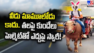 అత్తను కొట్టిన కోడలు అరెస్ట్‌.. మహిళ తీరుపై మండిపడుతున్న నెటిజన్లు