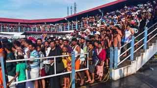 Kerala Tiger attack: పులిని చంపాలని జారీ చేసిన ఉత్తర్వులను రద్దు చేయాలని కోరుతూ పిటిషన్‌.. హైకోర్టు మొట్టికాయలు