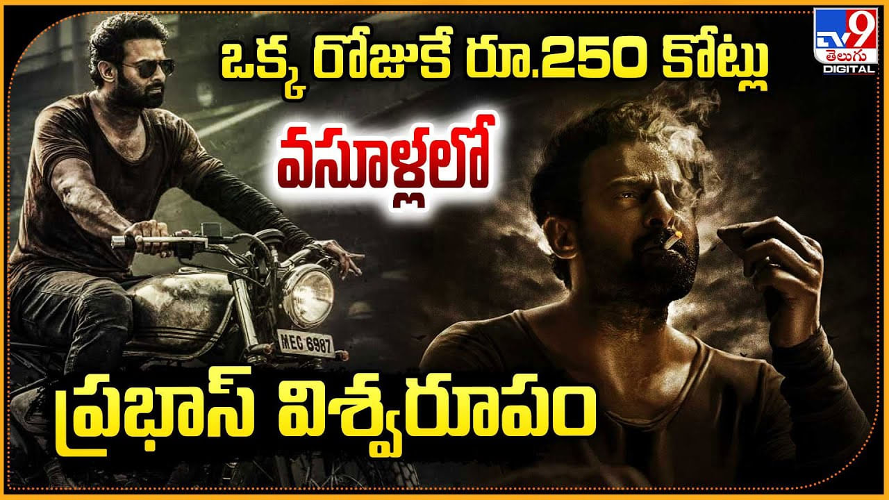 Salaar Collections: ఒక్క రోజుకే 250కోట్లు.! సెన్సేషన్ అవుతున్న ప్రభాస్.. డిటైల్స్.