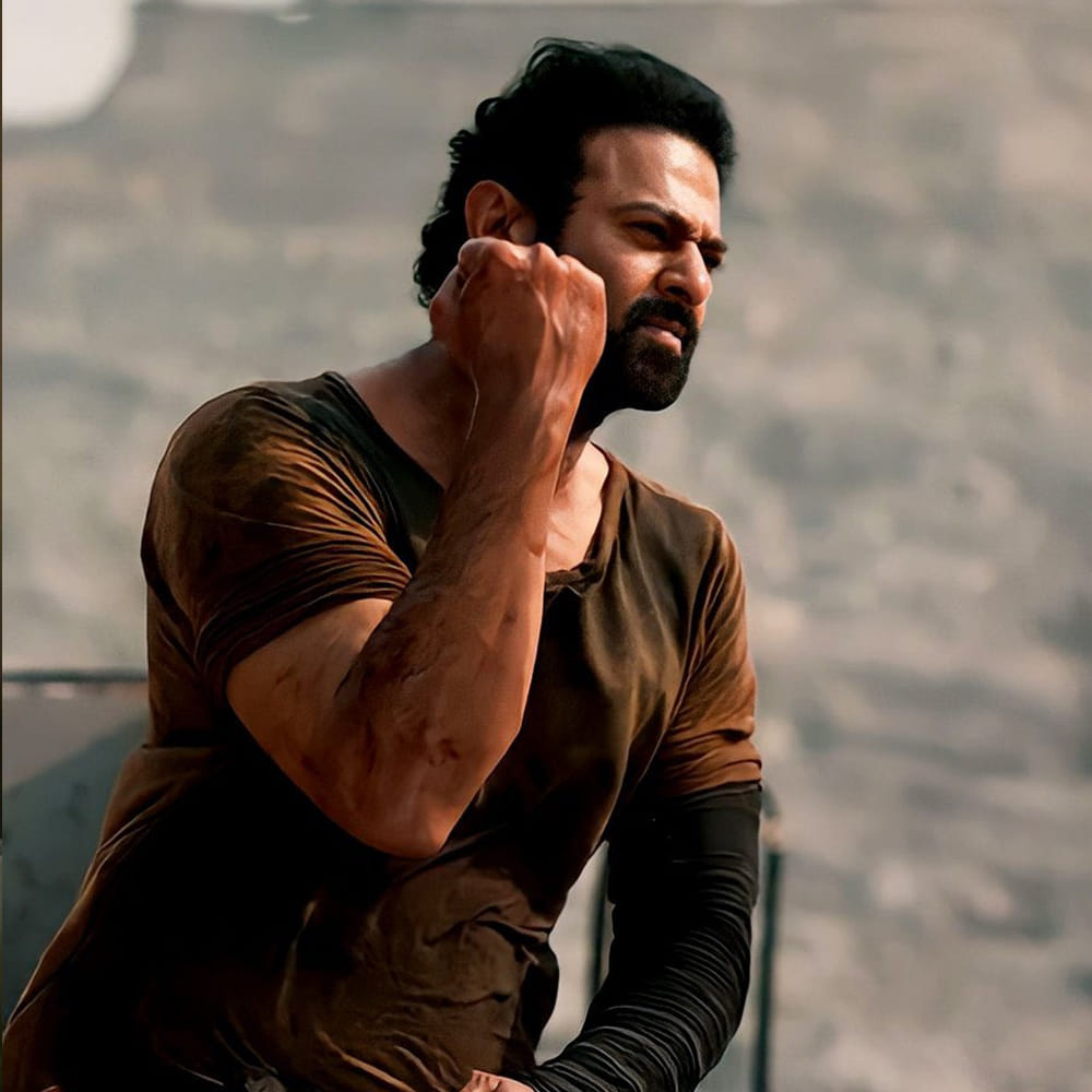 అంతలా డార్లింగ్ ఫ్యాన్స్ ని ఆపిన మాట ఏంటి? 'సలార్ 2 ఎప్పుడు మొదలుపెడతాం అనే విషయాన్ని నేనిప్పుడే చెప్పలేను. ఇట్స్ ఎ లాజిస్టికల్ థింగ్. అందుకే ఎగ్జాక్ట్ గా టైమ్ లైన్ని కమిట్ కాలేకపోతున్నా' అని ప్రశాంత్ నీల్ అనడమే. అతి త్వరలోనే మొదలుపెడతామనే మాట కెప్టెన్ నోటి వెంట వచ్చినా.. అసలు సలార్ సీక్వెల్ ఉంటుందా? లేదా అనే అనుమానాలే ఎక్కువగా ఉన్నాయి.