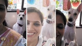 స్మైల్ ప్లీజ్.. సెల్ఫీ కోసం కుక్క ఫోజులు సూపర్బ్ స్మైల్ ప్లీజ్.. సెల్ఫీ కోసం కుక్క ఫోజులు సూపర్బ్