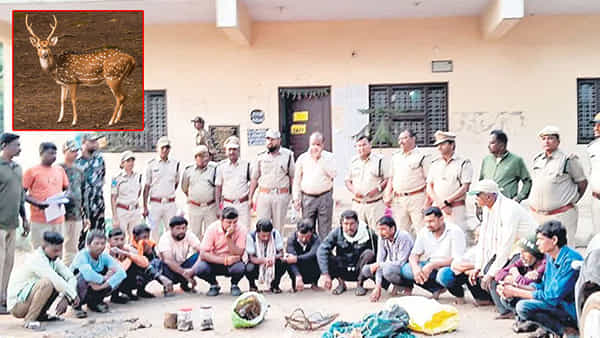 Telangana: వన్యప్రాణులను వేటాడిన దుండగులు.. 15 మంది అరెస్ట్! పరారీలో మరో 16 మంది..
