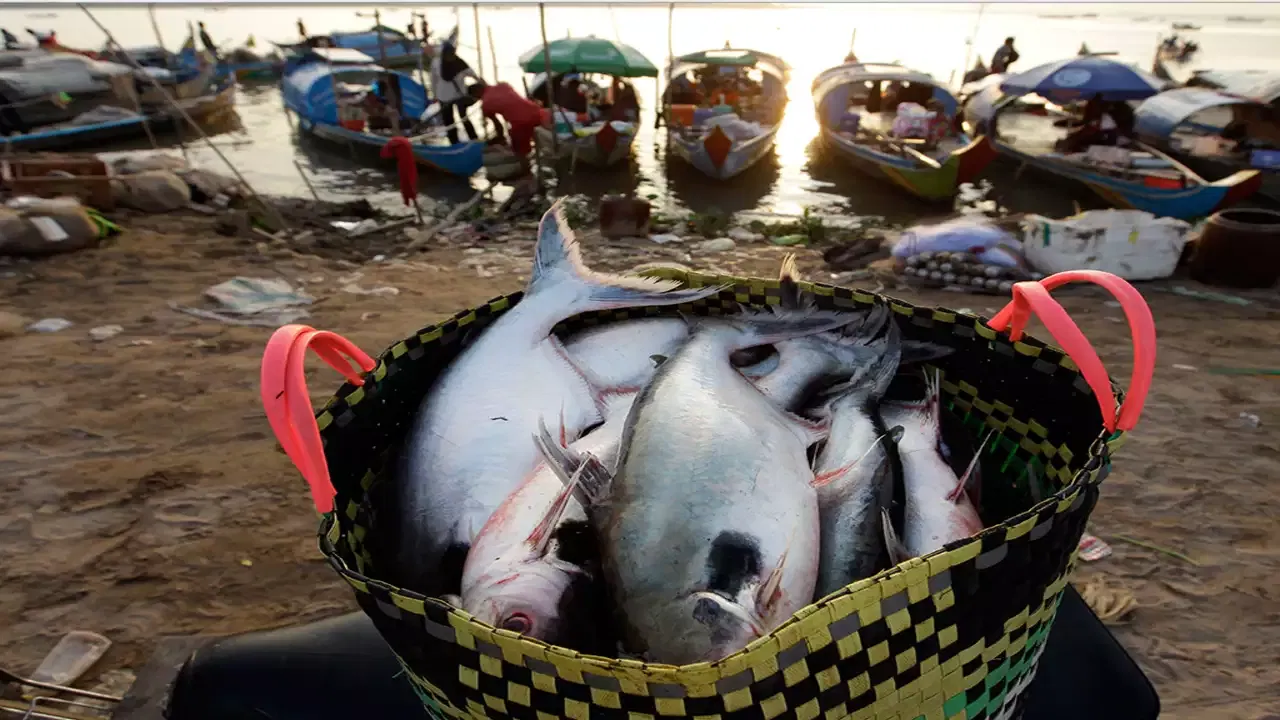 చర్మాన్ని ఆరోగ్యంగా ఉంచడంలో ఓమేగా 3 ఫ్యాటీ యాసిడ్స్ చాలా అవసరం. చేపల్లో ఇది ఎక్కువగా ఉంటుంది. వింటర్ సీజన్ లో చేపలు తినడం వల్ల చర్మానికి, జుట్టుకు కూడా చాలా మంచింది. చేపలను డీప్ ఫ్రై చేసి తినడం కంటే.. స్టీమింగ్, గ్రిల్లింగ్, బేకింగ్ లేదా పులుసు ముక్కలు తిన్నా మంచిదే.