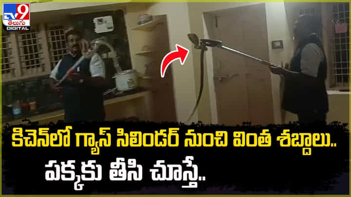 కిచెన్లో గ్యాస్ సిలిండర్ నుంచి వింత శబ్దాలు.. పక్కకు తీసి చూస్తే కిచెన్లో గ్యాస్ సిలిండర్ నుంచి వింత శబ్దాలు.. పక్కకు తీసి చూస్తే