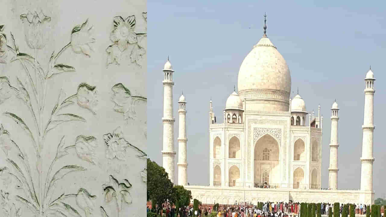 Taj Mahal: యమునలో పెరుగుతున్న కాలుష్యం.. కీటకాల కారణంగా గ్రీన్ కలర్‌లోకి మారుతున్న తాజ్‌మహల్