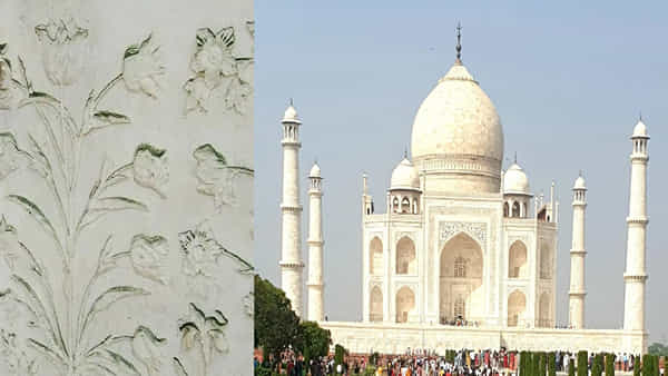 Taj Mahal: యమునలో పెరుగుతున్న కాలుష్యం.. కీటకాల కారణంగా గ్రీన్ కలర్లోకి మారుతున్న తాజ్మహల్