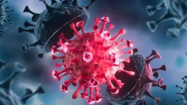 Telangana Health Bulletin: హైదరాబాద్లో నమోదైన కోవిడ్ కేసులు.. తెలంగాణ వైద్యారోగ్య శాఖ కీలక ఆదేశాలు..