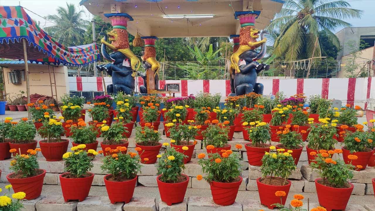 ఆహ్లాదకర వాతావరణంలో స్వామి వారిని దర్శనం చేసుకోవడం ఎంతో ప్రశాంతతనిస్తుందని భక్తులు చెప్తున్నారు. వెంకటేశ్వరస్వామి దర్శనం చేసుకున్న భక్తులు పూలమొక్కల లో ఫోటోలు దిగుతున్నారు. ఆహ్లాదకరమైన వాతావరణం ఉండేట్లు ఏర్పాటు చేసిన ఆలయ అధికారులను అభినందించారు భక్తులు.