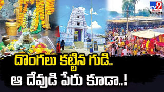 గ్రౌండ్‌లో గోల్ప్‌ ఆడుకుంటున్న వ్యక్తి.. రెండు పాములు పెనవేసుకొని గ్రౌండ్‌లోకి ఎంట్రీ !!