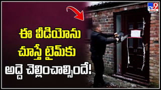 Viral News: యజమాని టార్చర్ తట్టుకోలేక ఉద్యోగం మానేసిన మహిళ.. ప్రతీకారం ఎలా తీర్చుకుందంటే..