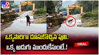 Viral News: లక్ అంటే ఈ మహిళాదే.. సోడా కోసం వెళ్లి లాటరీ టికెట్ కొంది .. లక్షలు గెలుచుకుంది.. ఎక్కడంటే