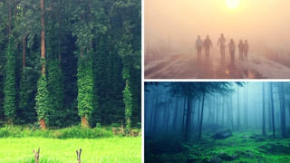 ఒంగోలులో మనుస్మృతి దహన్ దివస్..  దళిత సంఘాల ఆధ్వర్యంలో ప్రతుల దహనం