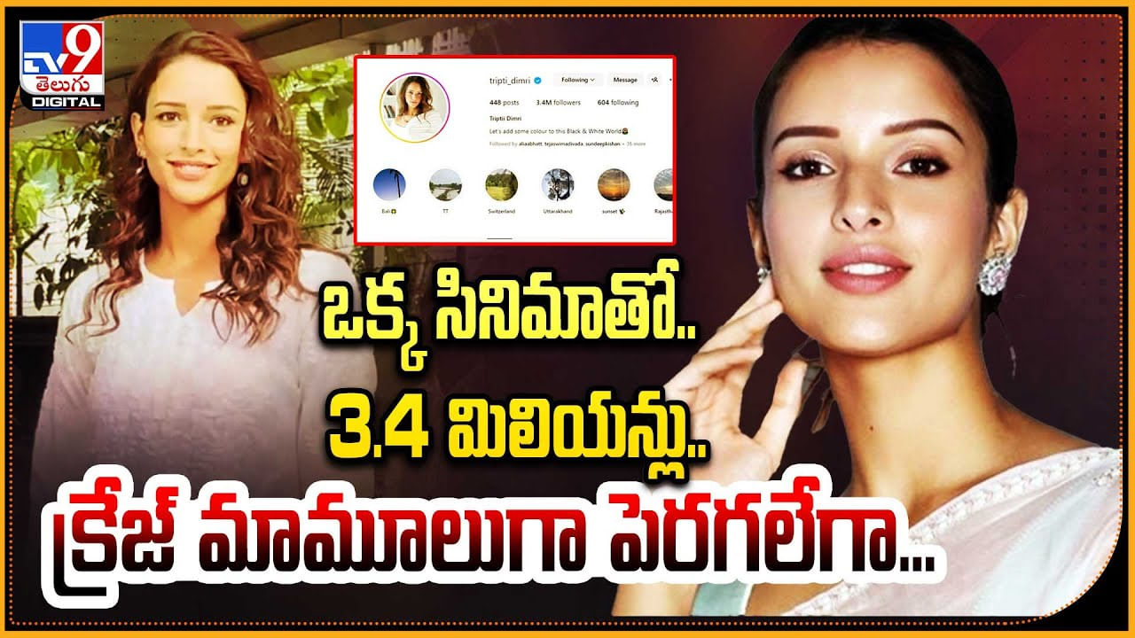 Tripti Dimri: ఒక్క సినిమాతో.. 3.4 మిలియన్లు.. క్రేజ్‌ మామూలుగా పెరగలేగా..