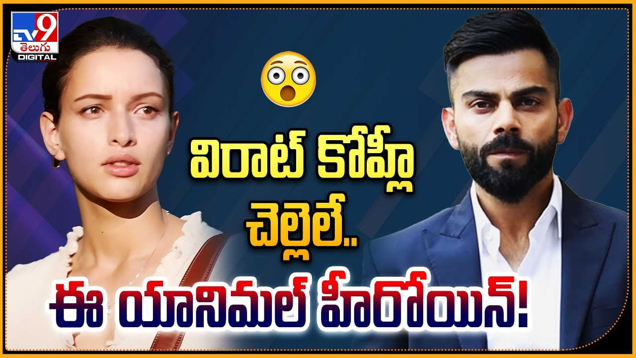 Tripti Dimri: విరాట్ కోహ్లీ చెల్లెలే.. ఈ యానిమల్ హీరోయిన్