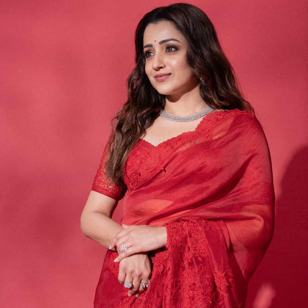 ప్రస్తుతం మోహన్ లాల్తో రామ్.. అజిత్తో మగిల్ తిరుమేని తెరకెక్కిస్తున్న విడాముయార్చీలో నటిస్తున్నారు త్రిష. తాజాగా చిరంజీవితోనూ ఈమెకు ఛాన్స్ వచ్చినట్లు తెలుస్తుంది.