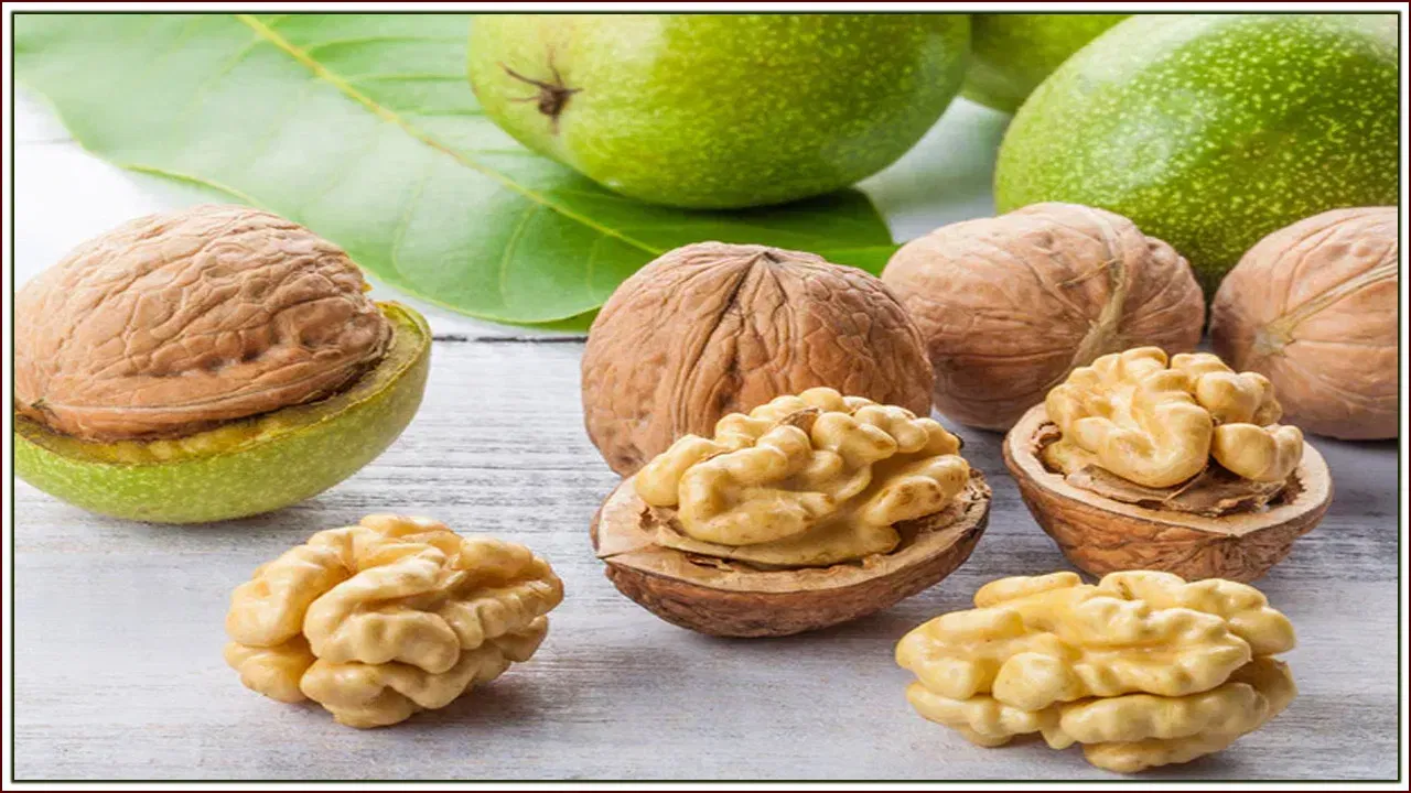 వాట్ నట్స్ లో యాంటీ ఆక్సిడెంట్లు పుష్కలంగా ఉంటాయి. ప్రతి రోజూ వీటిని నానబెట్టుకుని తింటే మతి మరపు, అల్జీ మర్స్ వంటి వ్యాధి కూడా దూరమవుతుంది. మెదడును ఆరోగ్యంగా ఉంచేలా చేస్తుంది. ఇవి చూడటానికి కూడా మెదడు ఆకారంలోనే ఉంటాయి.
