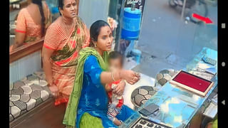 Viral Video: ఇండిగో విమానంలో మహిళకు చేధు అనుభవం.. శాండ్ విచ్‌లో బతికున్న పురుగు!