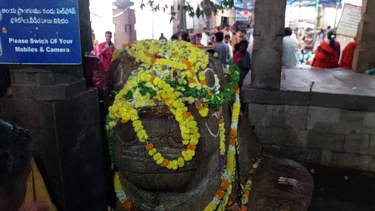యాగంటి క్షేత్రం ఉనికి పురాతన కాలం నుండి ఉందని భక్తుల నమ్మకం అపర శివ భక్తుడైన బృగు మహర్షి ఇక్కడ శివ సాక్షాత్కారం కోసం తపస్సు చేశారని ఫలితంగా సతీ సమేతంగా ఇక్కడ శివుడు కొలువయ్యారని ఒక కథనం..
