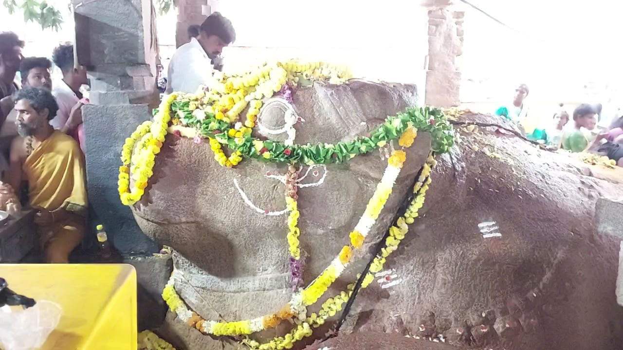 యాగంటి బసవయ్య: శివాలయాలు అనగానే ఆలయంలో నంది విగ్రహం ఉండడం సహజం శివాలయం లోకి  అడుగుపెట్టగానే మనకు నందీశ్వరుడు కనిపిస్తాడు. ఐతే యాగంటి దేవాలయంలో ఉన్న నందీశ్వరునికి ఓ ప్రత్యేకత ఉంది ఆలయంలో ఈశాన్య భాగంలో నందీశ్వరుడు కొలువై ఉండడం.. ఆ నంది విగ్రహం అంతకంతకు పెరుగుతూ ఉండడం ఇక్కడి ప్రత్యేకత.. పురావస్తు శాఖ అంచనా ప్రకారం ఈ నంది విగ్రహం ప్రతి 20 సంవత్సరాలకు అంగుళం మేర పెరుగుతుందని నిర్దారించారు. 