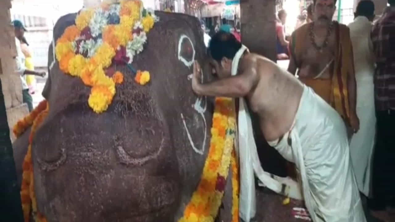 బ్రహ్మంగారు చెప్పింది జరిగేనా.. యాగంటి బసవయ్య అంత అంతకు పెరిగి కలియుగాంతంలో రంకె వేసేనని బ్రహ్మంగారు కాలజ్ఞానంలో రాశారు. బ్రహ్మంగారు చెప్పినట్లే యాగంటి బసవయ్య పెరుగుతుండడం ఇక్కడ గమనించవచ్చు. పురావస్తు శాఖ అంచనా ప్రకారం ఈ నంది ప్రతి 20 సంవత్సరాలకు అంగుళం మేర పెరుగుతుంది. ఇక్కడి నంది విగ్రహానికి భక్తులు ఎంతో ప్రీతిపాత్రంగా పూజలు నిర్వహిస్తారు.