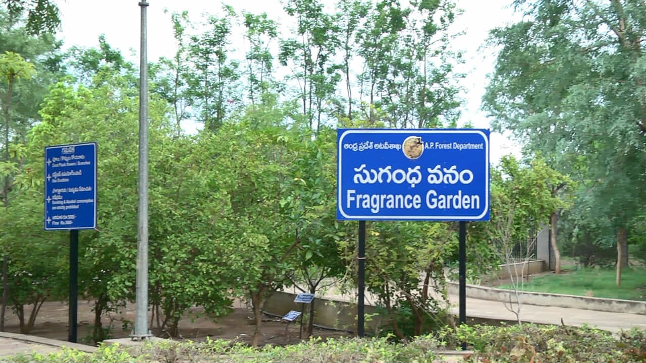 ఉమ్మడి ఆంధ్రప్రదేశ్ మాజీ ముఖ్యమంత్రి డాక్టర్ వైయస్ రాజశేఖర్ రెడ్డి 2009 సెప్టెంబర్ 2న హెలికాప్టర్ లో ప్రయాణం చేస్తూ ప్రమాదవశాత్తు పావురాల గుట్టలో హెలికాప్టర్ కూలి చనిపోవడంతో ఆయన జ్ఞాపకంగా ఆత్మకూరు ప్రాంతంలోని నల్లకాలువ సమీపంలో వైయస్సార్ స్మృతి వనం అప్పటి రాష్ట్ర ప్రభుత్వం ప్రతిష్టాత్మకంగా నిర్మించింది.