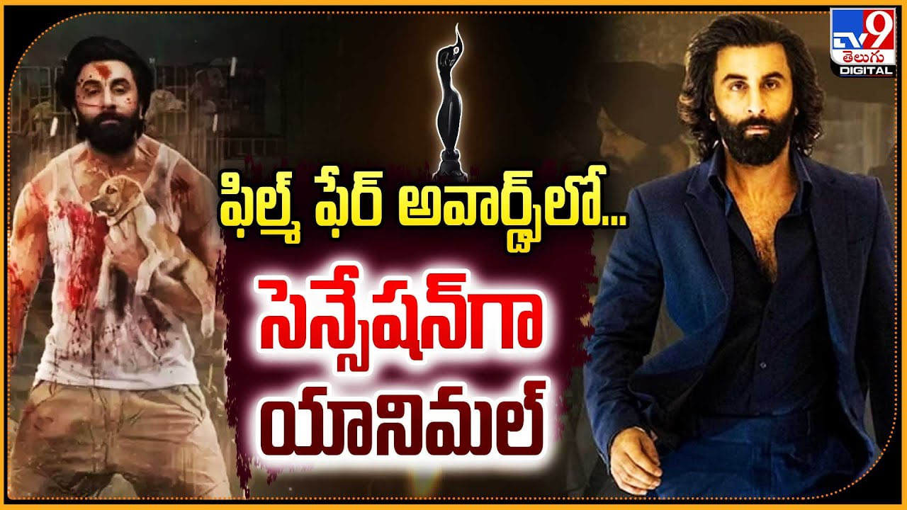 Animal - Film fare: ఫిల్మ్ ఫేర్ అవార్డ్స్‌లో సెన్సేషన్‌గా యానిమల్.! లిస్ట్ లో హైలెట్.