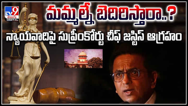Lawyer Apologized: గొంతు తగ్గించండి.! మమ్మల్నే బెదిరిస్తారా.? కోర్టులో న్యాయవాది తీరుపై సీజేఐ అసహనం Lawyer Apologized: గొంతు తగ్గించండి.! మమ్మల్నే బెదిరిస్తారా.? కోర్టులో న్యాయవాది తీరుపై సీజేఐ అసహనం