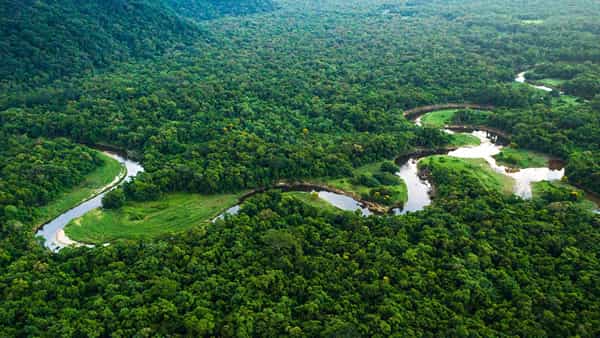 Amazon Rainforest: అమెజాన్ అడవుల్లో బయల్పడ్డ అతి పురాతన నగరం.. సుమారు 3 వేల యేళ్లనాటిదిగా గుర్తింపు