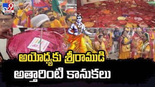 శిల్పారామంలో సంక్రాంతి సందడి.. ఆనందం వ్యక్తం చేస్తున్న సందర్శకులు.
