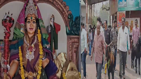 Ballala Panduga: అంగరంగ వైభవంగా బల్లల పండుగ.. ఎవరు, ఎందుకు చేస్తారో తెలుసా..?