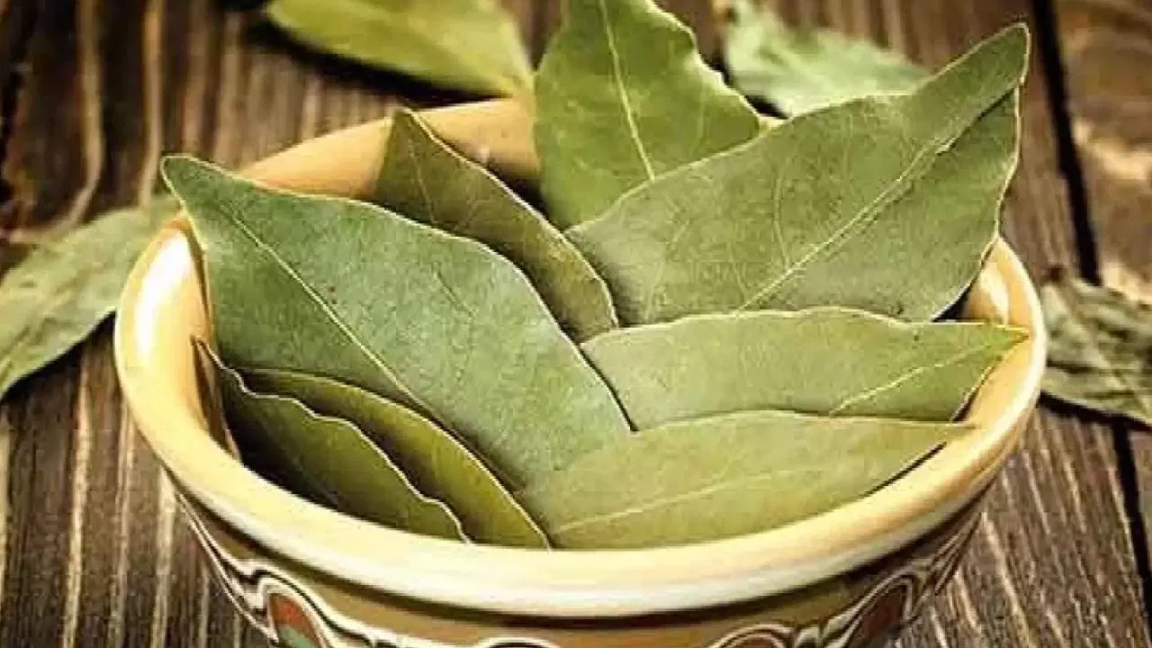 బిర్యానీ ఆకులో యాంటీ డయాబెటిక్, యాంటీ డయేరియా, యాంటీ ఇన్ ఫ్లమేటరీ గుణాలు పుష్కలంగా ఉన్నాయి. కాబట్టి బిర్యానీ ఆకు తీసుకోవడం వల్ల ఈ సమస్యలకు కూడా చెక్ పెట్టొచ్చు. శరీరంలో రోగ నిరోధక శక్తి కూడా పెరుగుతుంది.
