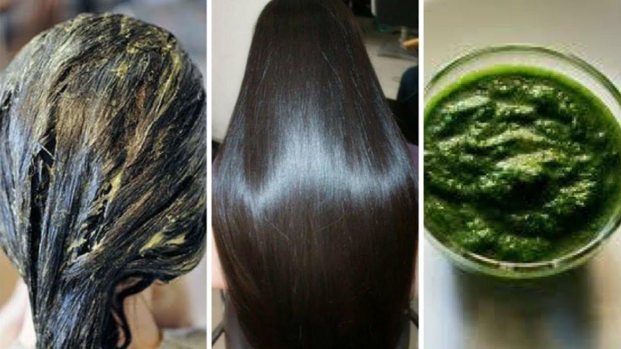 ఇలా వారానికోసారి చేయడం వల్ల తమలపాకులోని పోషకాలు జుట్టుకు చేరుతాయి. జుట్టు రాలడం, పొడిబారడం వంటి సమస్యలు తగ్గుతాయి. జుట్టు మూలాల నుండి చాలా ఆరోగ్యంగా, బలంగా, మృదువుగా పెరుగుతుంది.