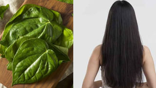 Legs-Up-the-Wall: యోగాలో ఈ ఆసనం ప్రయోజనాలేంటో తెలుసా..? ఈ వ్యాధుల నుంచి ఉపశమనం..