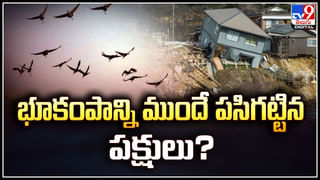 ల్యాండింగ్‌ సమయంలో ఊగిన విమానం .. ఎందుకంటే ??