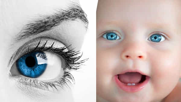 Blue Eyed Person: నీలి కళ్ల వ్యక్తులపై పరిశోధన.. వీరికి 70 కోట్లకు పైగా బంధువులు ఉన్నారన్న శాస్త్రవేత్త..