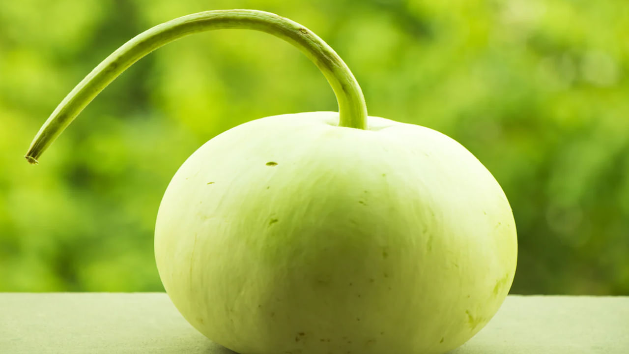 Bottle Gourd Benefits ఈ కూరగాయ ఉపయోగాలు తెలిస్తే.. దాన్ని అస్సలు