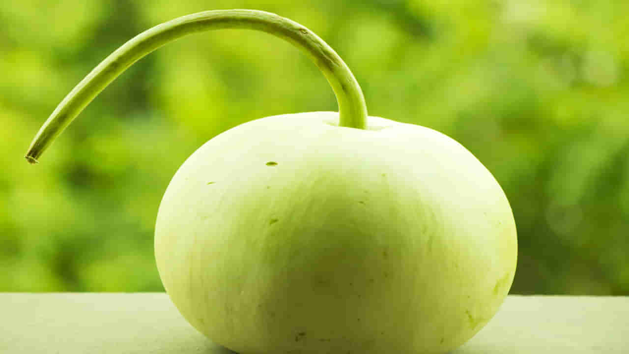 Bottle Gourd Benefits: ఈ కూరగాయ ఉపయోగాలు తెలిస్తే.. దాన్ని అస్సలు వదిలిపెట్టారు