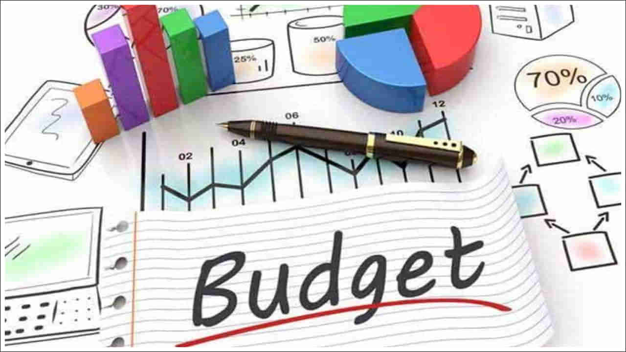 Budget 2024: ఈ బడ్జెట్లో నిర్మలాసీతారామన్ ఈ రంగాలకు పెద్దపీట వేయనున్నారా?