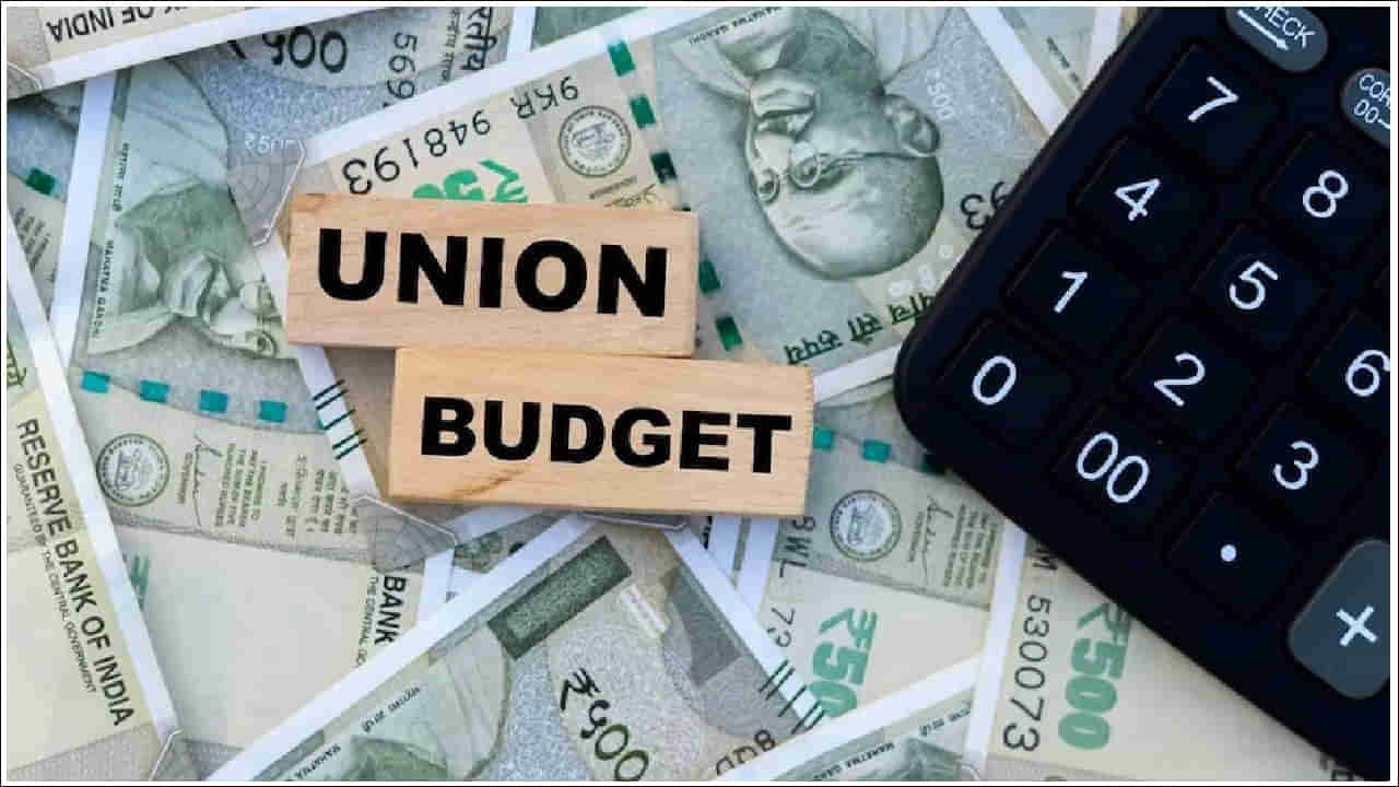 Budget 2024: మధ్యంతర బడ్జెట్ అంటే ఏమిటి? దీనికి పూర్తి స్థాయి బడ్జెట్‌కు తేడా ఏమిటి?