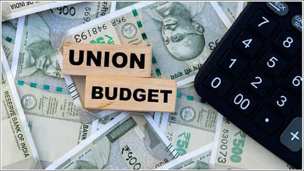 Budget 2024: మధ్యంతర బడ్జెట్ అంటే ఏమిటి? దీనికి పూర్తి స్థాయి బడ్జెట్కు తేడా ఏమిటి?