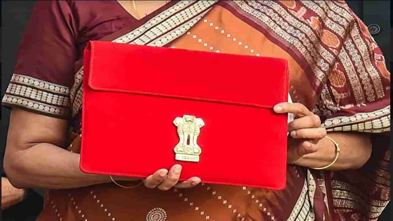 Budget 2024: బడ్జెట్కు 290 ఏళ్ల చరిత్ర.. ఆ దేశంలోనే బడ్జెట్ అనే పదం పుట్టుక