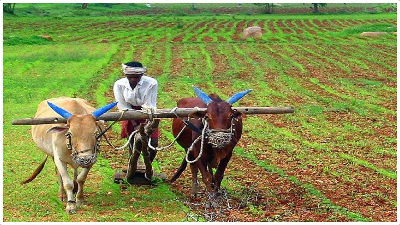 ప్రభుత్వం ఉచిత ఆహార ధాన్యాలకు హామీ ఇవ్వడంతో ఇప్పుడు ఆందోళన తగ్గింది. ఈ బడ్జెట్‌లో ప్రభుత్వం రైతులకు సంబంధించిన ఏవైనా కొత్త హామీలు ఇస్తుందనే ఆశలో ఎదురు చూస్తున్నారు.ఈసారి ఎన్నికలకు ముందు బడ్జెట్ వస్తోంది. ఎన్నికల అనంతరం కొత్త ప్రభుత్వం పూర్తి సంవత్సర బడ్జెట్‌ను జూలైలో ప్రవేశపెట్టనుంది.