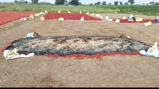 YS Jagan: జనవరి 27 నుంచి సీఎం జగన్ జిల్లాల పర్యటన.. ఎన్నికలపై పార్టీ కేడర్‌కు దిశానిర్దేశం