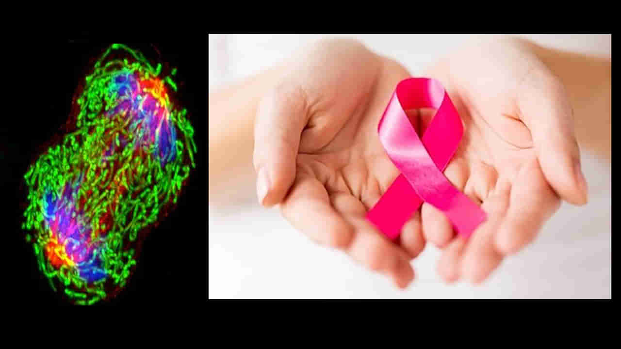 Cancer: మీకు ఈ 5 అలవాట్లు ఉంటే క్యాన్సర్ బారిన పడినట్లే.. వెంటనే మానుకోండి