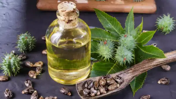 Castor Oil Benefits: ఆముదం గురించి ఈ నిజాలు తెలిస్తే.. ఖచ్చితంగా ఉపయోగిస్తారు!