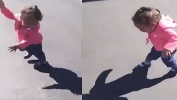 Viral Video: ఓరేయ్.. నా వెంటపడ్డా వేంట్రా..! షాడో నుంచి తప్పించుకోలేక చిన్నారి..